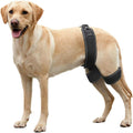 Dog Hip Orthotics Brace,Support for Hip Dysplasia,Relieve Pain Prevent Hip Joint Diseases,Help Dog Injury Recovery